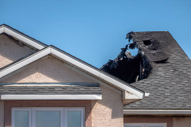 Top rated local Smoke Odor Removal specialists in Newport, KY